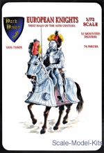 DDS72005 European knights, 1st half of 16th century