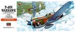 HA00139 P-40N Warhawk