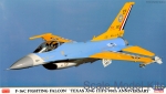 HA00899 F-16C Fighting Falcon "Texas Ang 111FS 90th Anniversary"