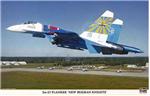 HA00905 Su-27 Flanker "New Russian Knights"