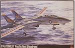 HA07018 F-14A TOMCAT (PACIFIC F.S.)