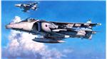 HA07236 HARRIER GR Mk7 ROYAL A.F.