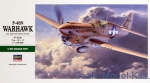 HA09088 P-40N Warhawk