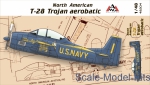AMG48504 American T-28 Trojan aerobatic