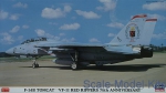 Fighters: F-14B Tomcat, Hasegawa, Scale 1:72