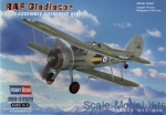 HB80289 RAF Gladiator