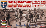 Vietnam War ARVN troops (late war, 1969-1975)